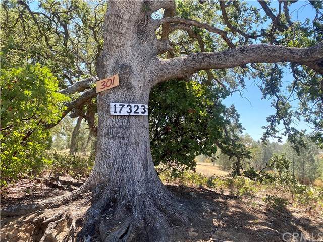 17323 Wagon Wheel Drive - Photo 1