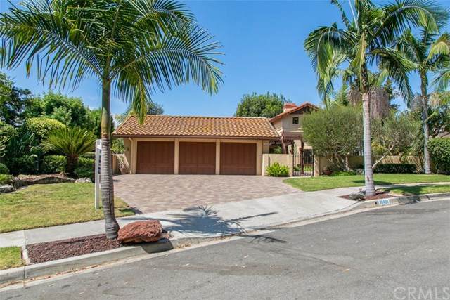 30491 Puerto Vallarta Drive - Photo 1