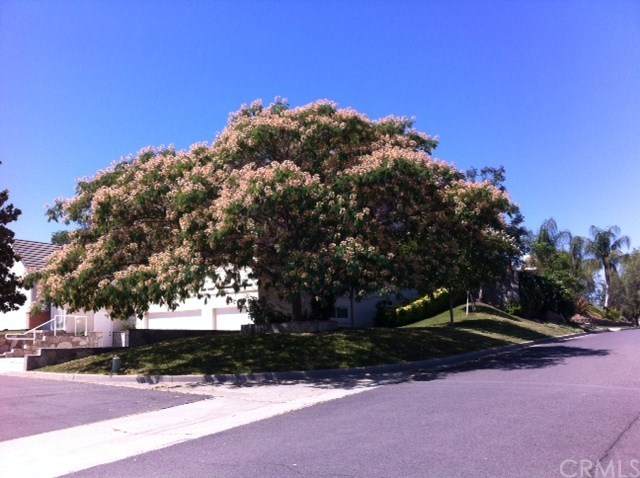 30701 Pyramid Point Drive - Photo 1