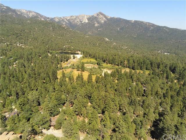 0 Scenic View - Photo 1