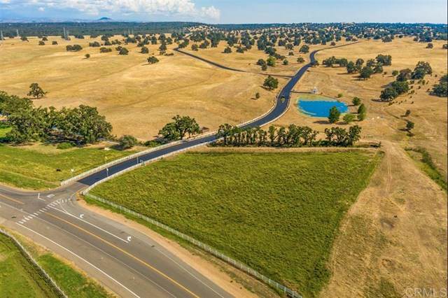 Lot 68 River Downs Way - Photo 1
