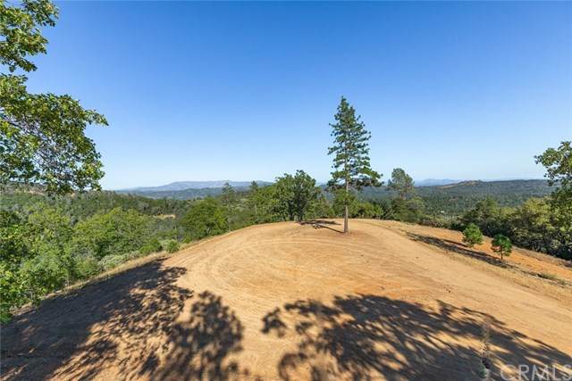 5393 Wilderness View Drive - Photo 1