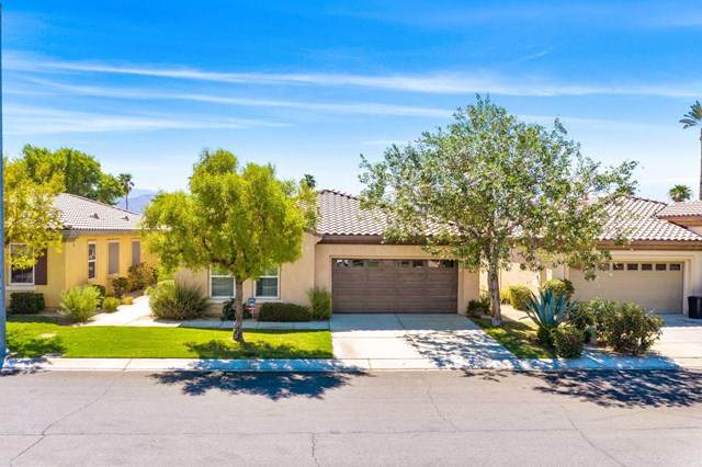 49799 Pacino Street - Photo 1
