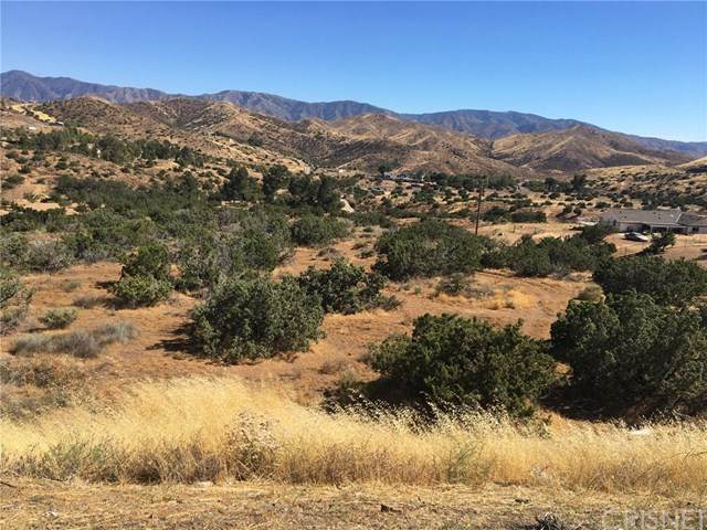0 Vac/Escondido Canyon Rd/Bigspr - Photo 1