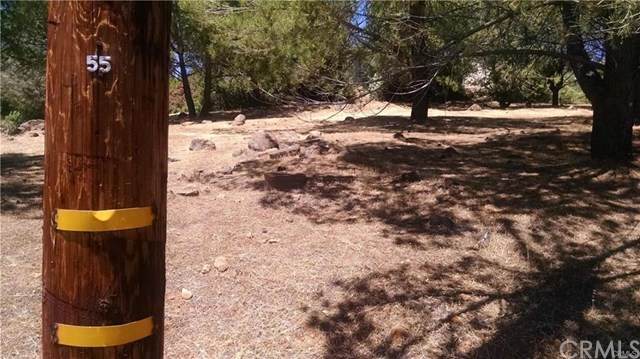 17853 Deer Hill Road - Photo 1