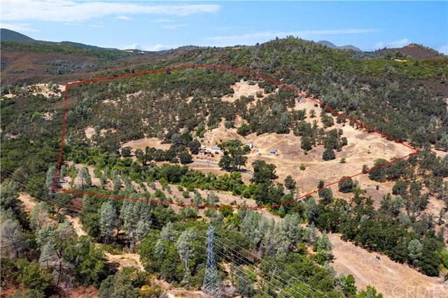 10925 Seigler Canyon Road - Photo 1