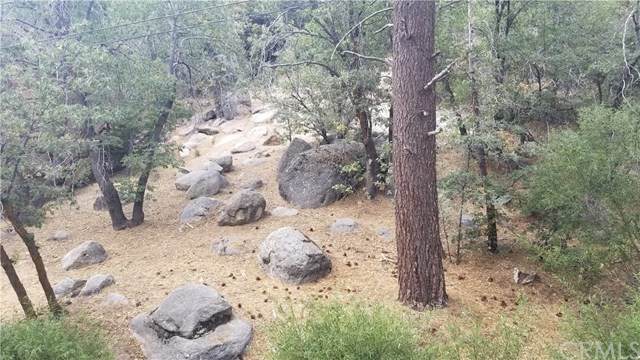 0 Deer Lane - Photo 1