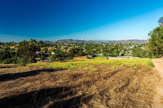 1750 Hilo Drive - Photo 1