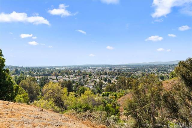 317 Ramsgate Drive - Photo 1