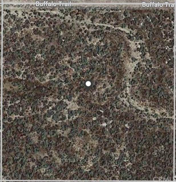 0 Buffalo Trail - Photo 1