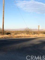 0 Old Woman Springs Road - Photo 1