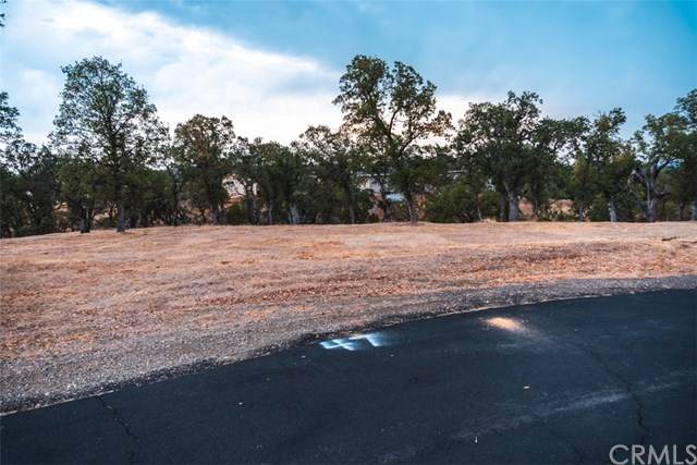 22240 Fawn Way - Photo 1