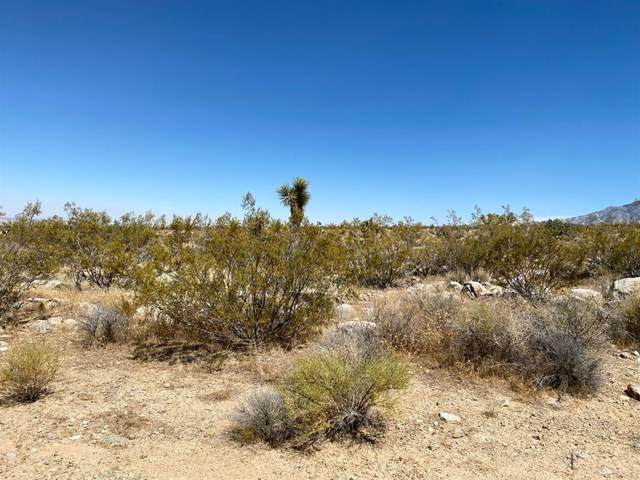 0 Near County Rd 21828 - Photo 1