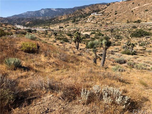 0 Sheep Creek Road - Photo 1