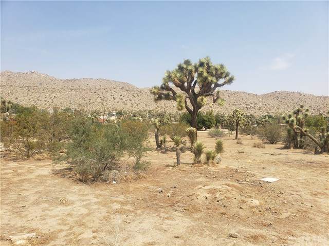 0 Little League Drive - Photo 1