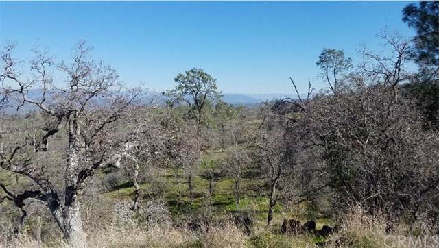 1507 Lilly Mountain Drive - Photo 1