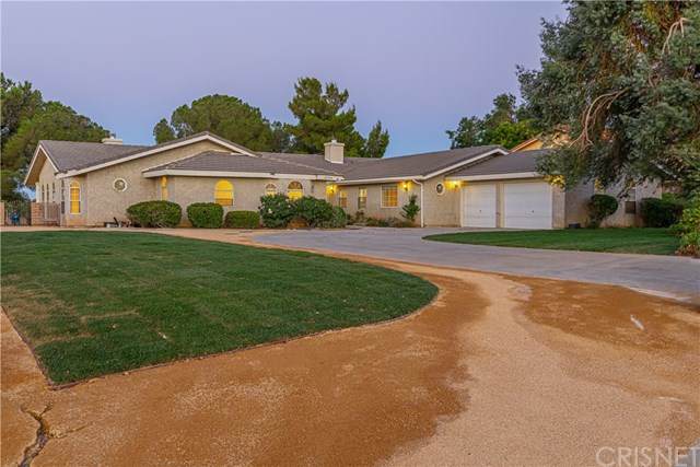 41734 Misha Lane - Photo 1