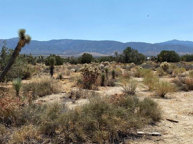 0 Bear Valley Road - Photo 1
