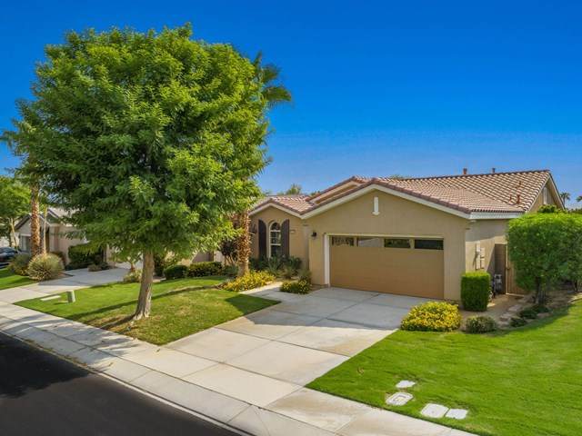 60224 Honeysuckle Street - Photo 1