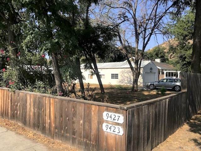 9427 Los Coches Rd - Photo 1