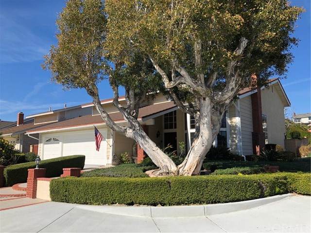 3014 Calle Juarez - Photo 1