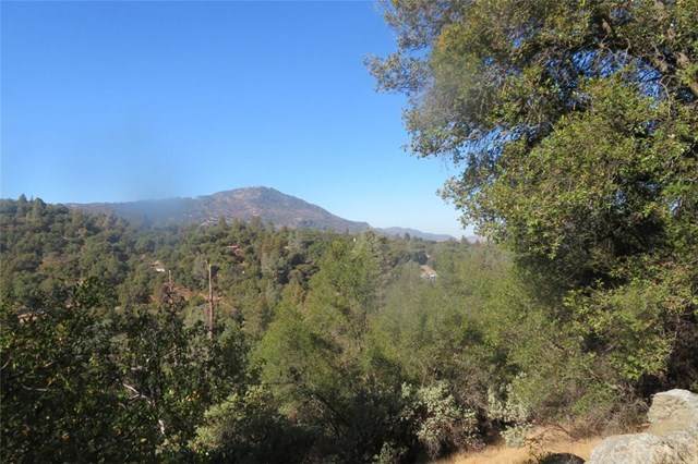 0-4.45 AC Moonray Lane - Photo 1