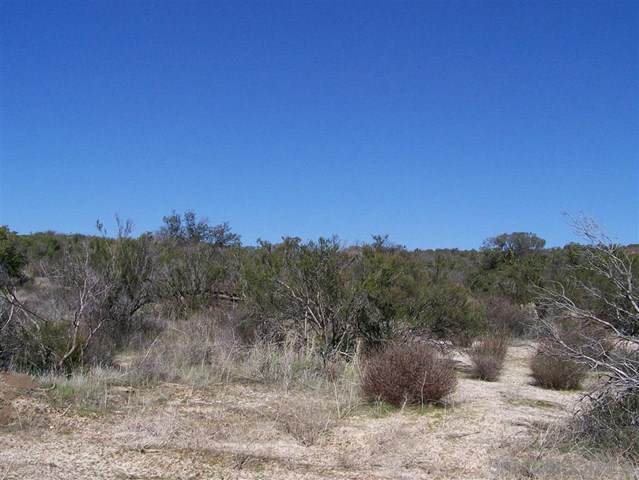0 Coyote Holler Road - Photo 1