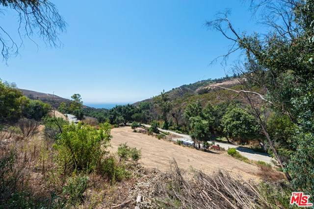3525 Encinal Canyon Road - Photo 1