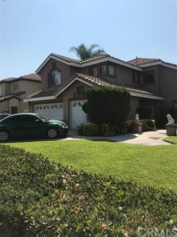 10969 Marbella Drive - Photo 1