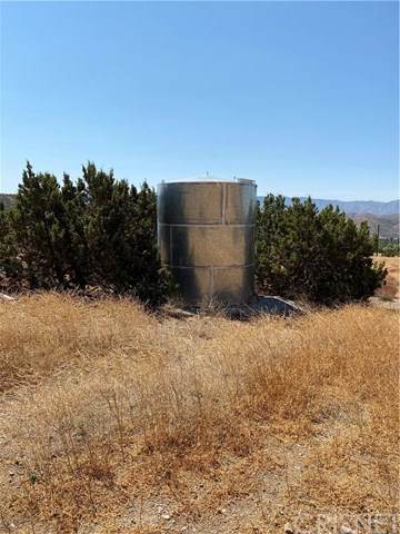 35942 Via Famero Drive - Photo 1