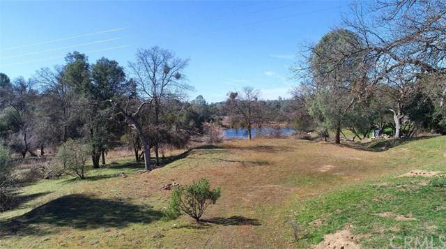 0-3.34 AC Old Corral Road - Photo 1