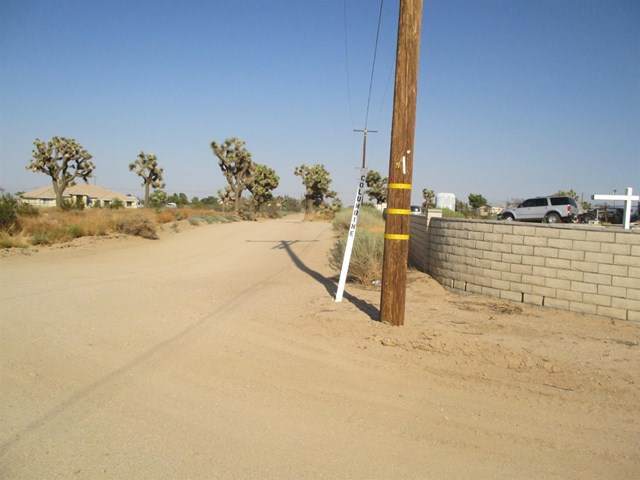 0 Mesa Street - Photo 1
