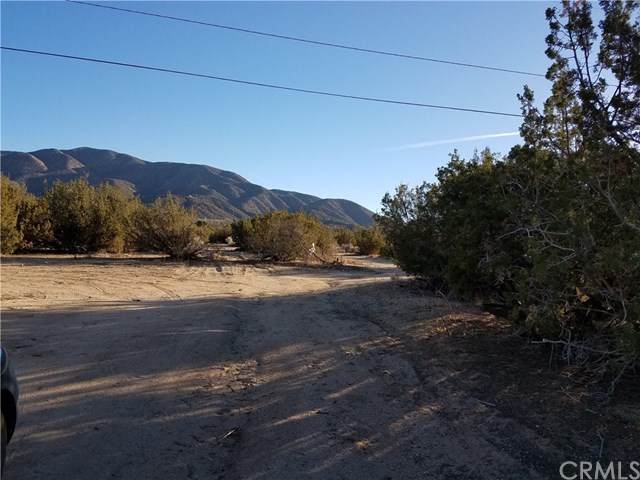 30930 96th Street - Photo 1