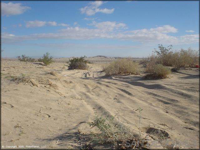 0 Old Kane Springs Road - Photo 1