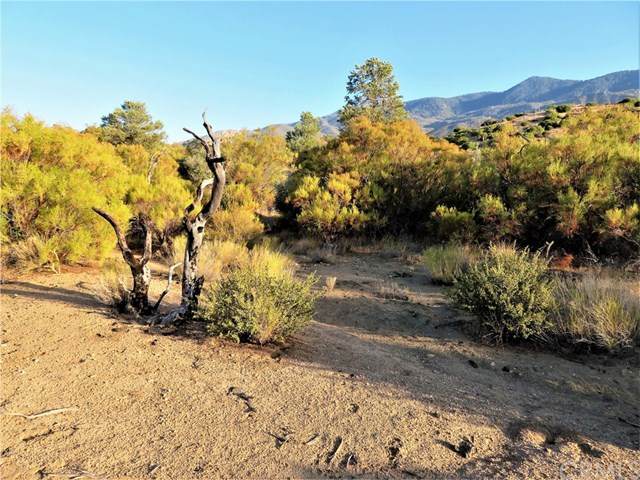 0 Palm Canyon Drive - Photo 1