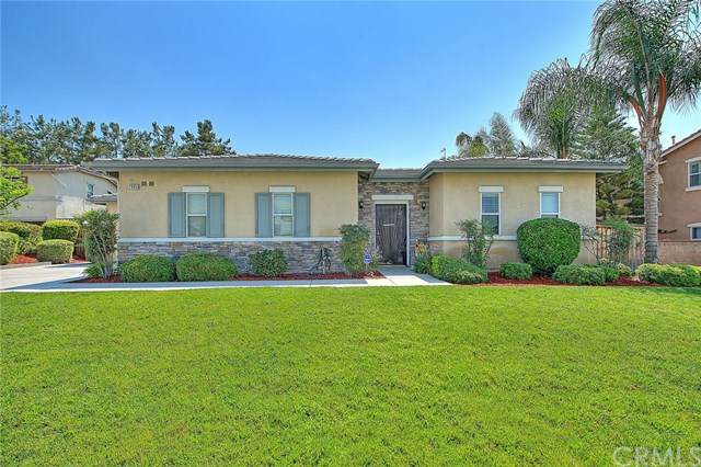 7895 La Nita Street - Photo 1