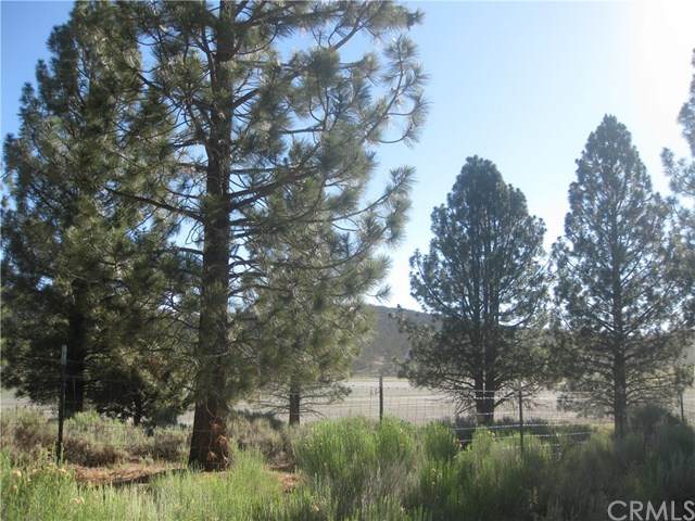 2817 Cedar Lane - Photo 1