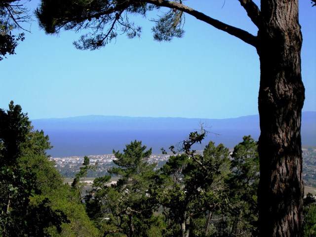 7870 Monterra Oaks - Photo 1