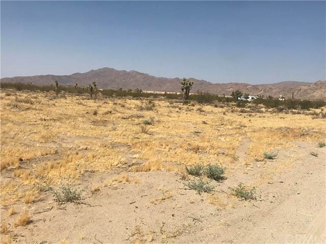 9705 Buena Vista Road - Photo 1