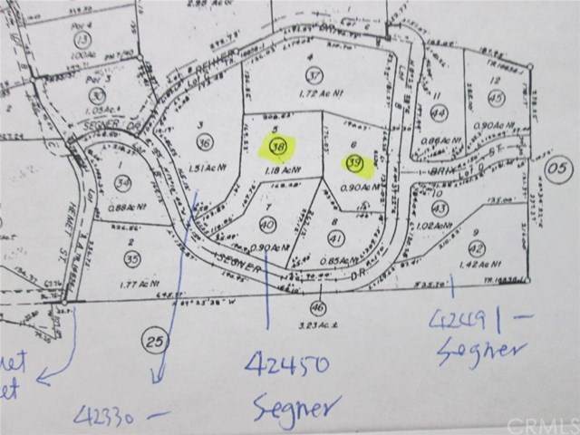 42550 Segner Drive - Photo 1