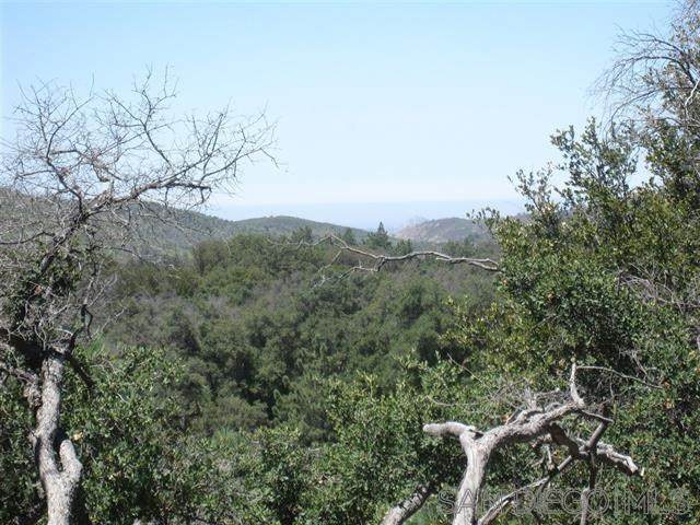 0 Incense Cedar - Photo 1