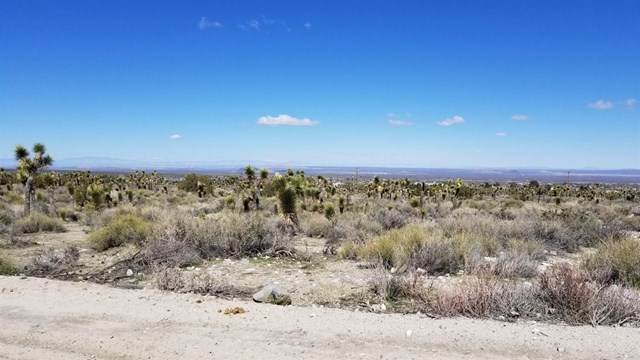 0 Primavera Road - Photo 1