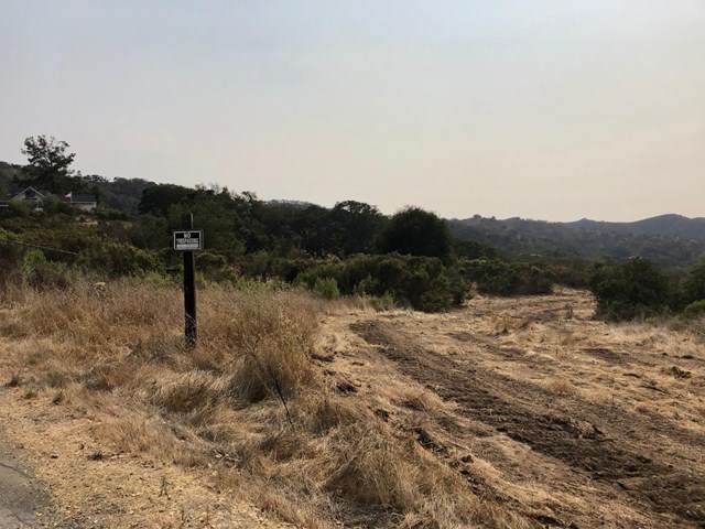 334 San Benancio Road - Photo 1