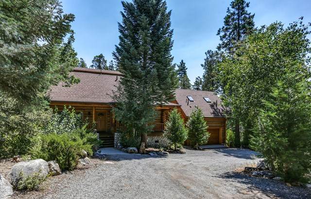 55335 Dogwood Drive - Photo 1