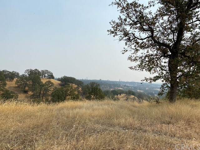 12 Happy Valley Trail - Photo 1