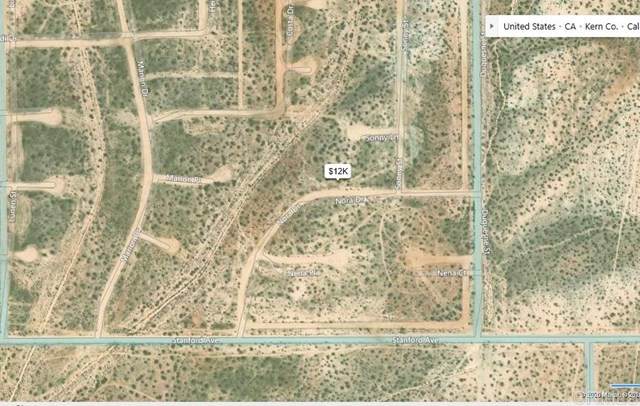 Nora Drive - Photo 1