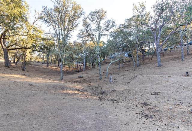 8145 Castenada Lane - Photo 1