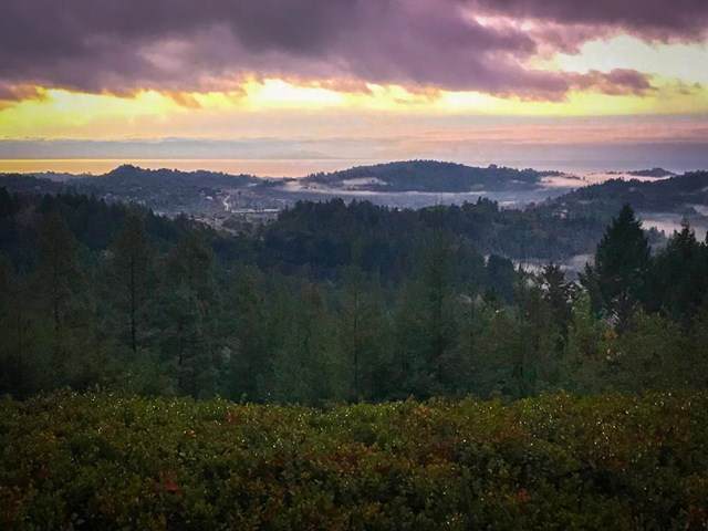 920 Hawks Hill Road - Photo 1