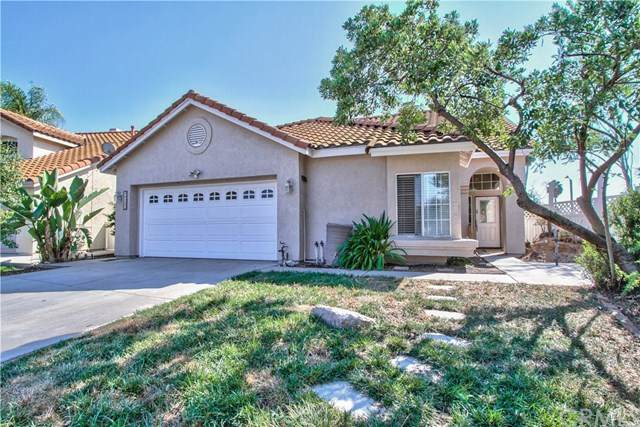 40207 Valeriana Court - Photo 1