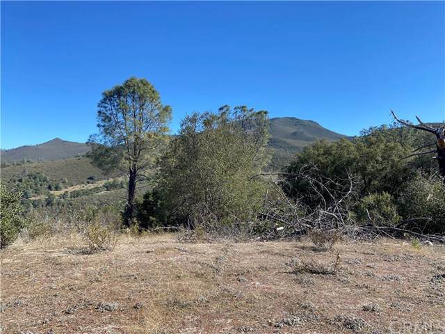 6690 Wilkinson Road - Photo 1
